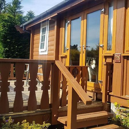 Cabin Daire Trawsfynydd Dış mekan fotoğraf