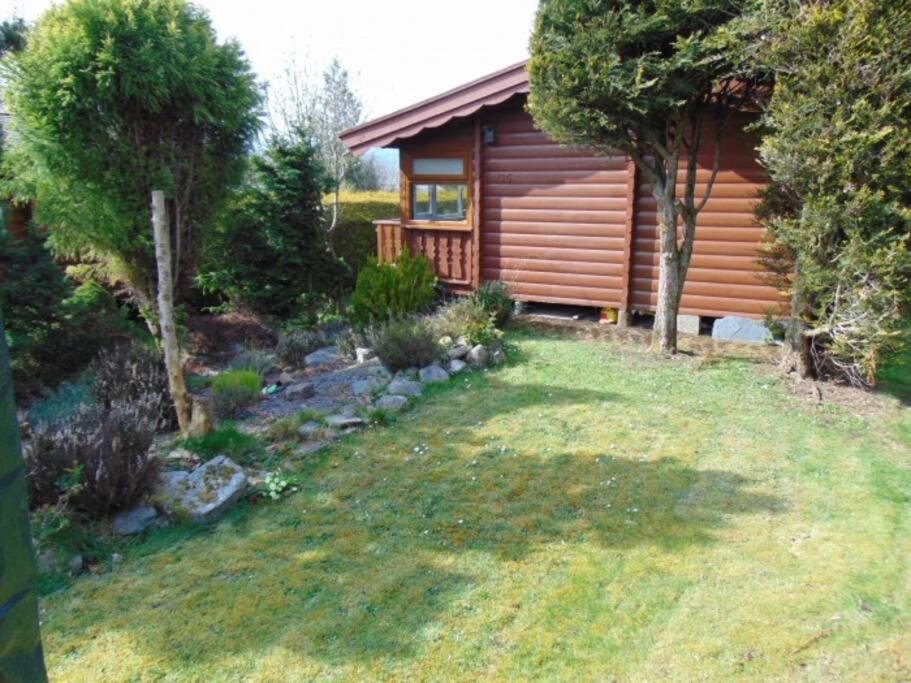 Cabin Daire Trawsfynydd Dış mekan fotoğraf