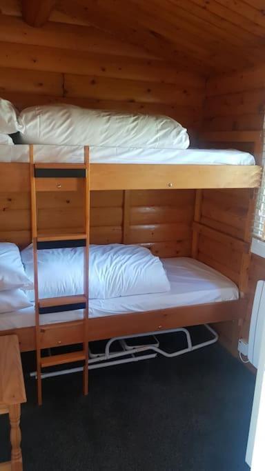 Cabin Daire Trawsfynydd Dış mekan fotoğraf
