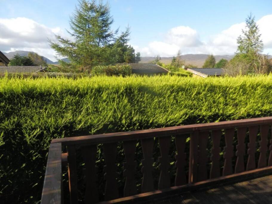 Cabin Daire Trawsfynydd Dış mekan fotoğraf