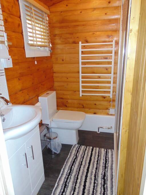 Cabin Daire Trawsfynydd Dış mekan fotoğraf
