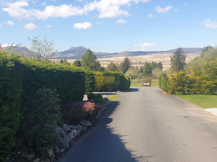 Cabin Daire Trawsfynydd Dış mekan fotoğraf